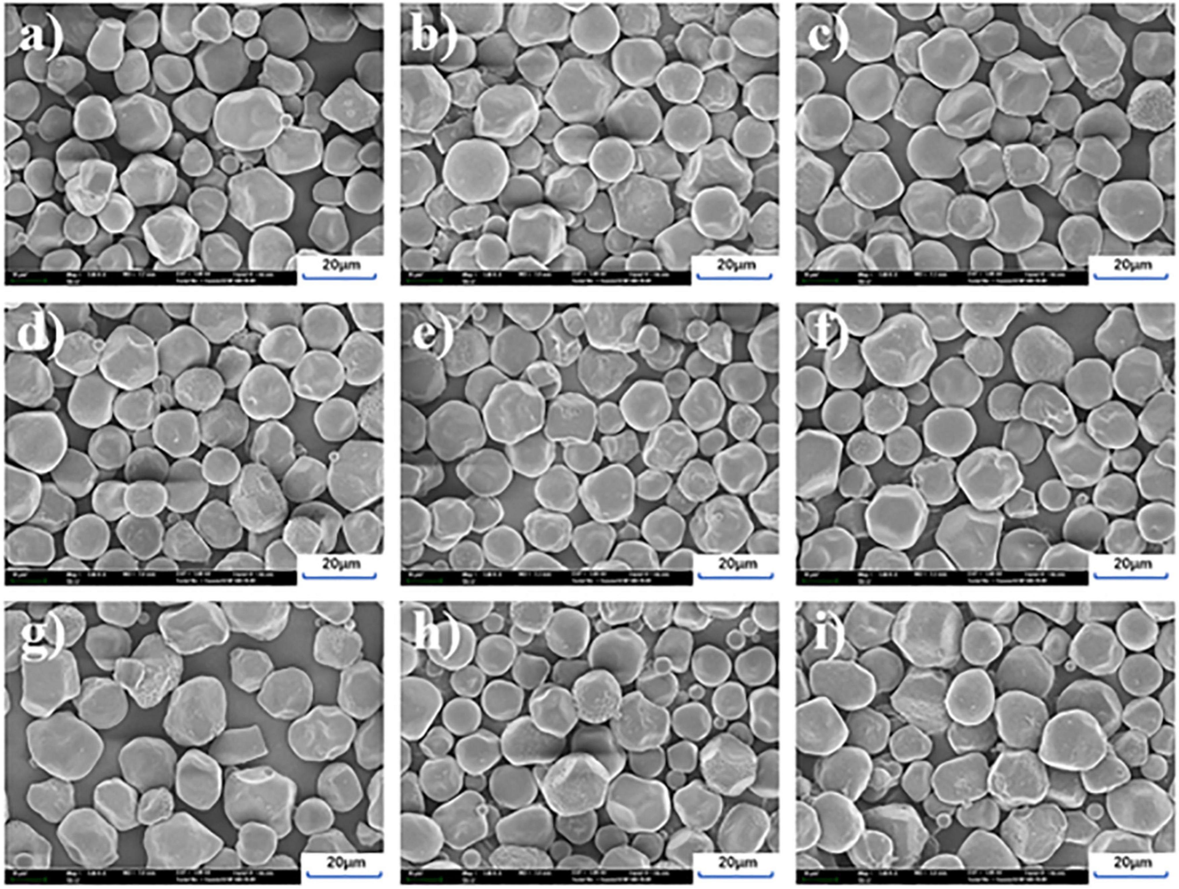 Correlation analysis on physicochemical and structural properties of sorghum starch